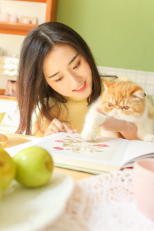 美人如画